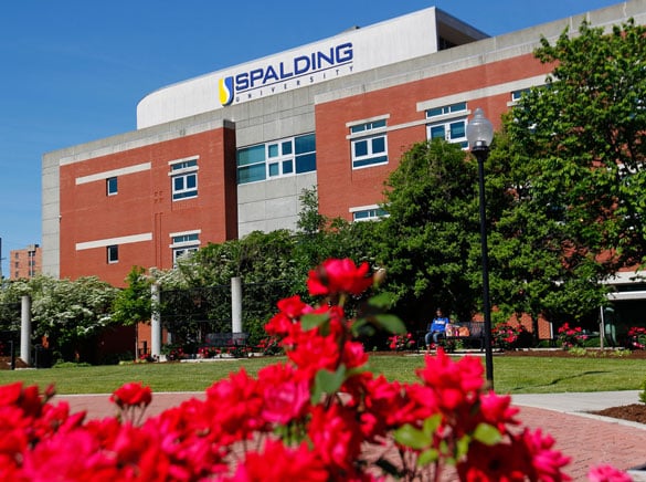 spalding